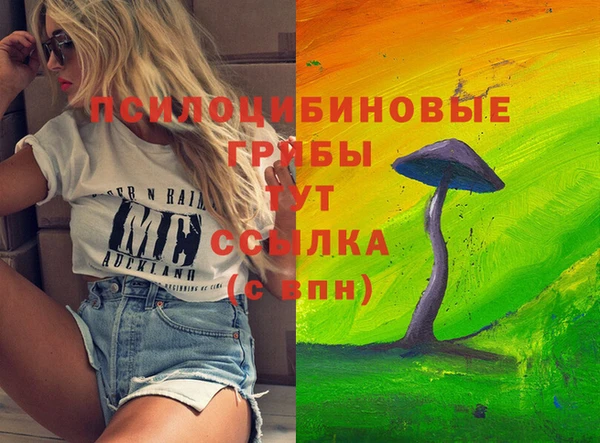 mix Алексин