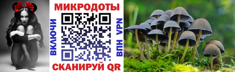 Галлюциногенные грибы Magic Shrooms  Североуральск 